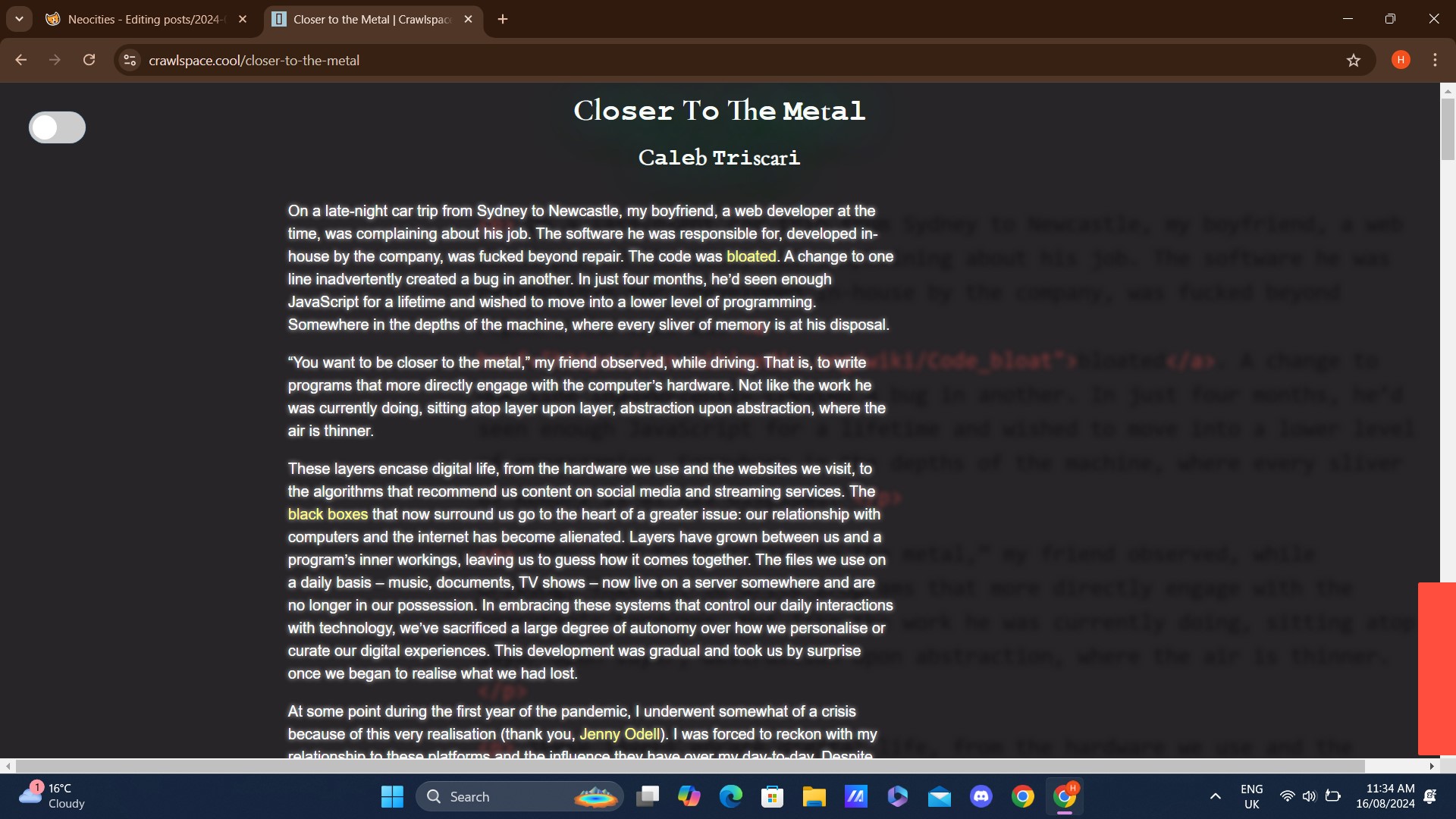 screenshot of an online essay, white text on black background